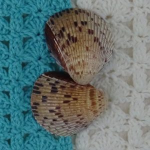 Crocheted Cockleshell Stitch